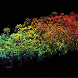 LIDAR point cloud of Amazon rainforest segment