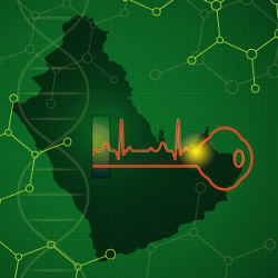 key and map of Saudi Arabia, illustration