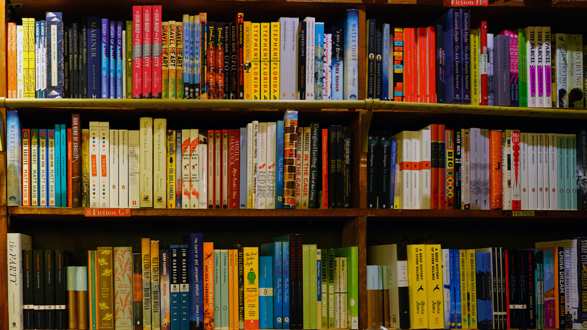 Credit: Shutterstock bookstore shelves